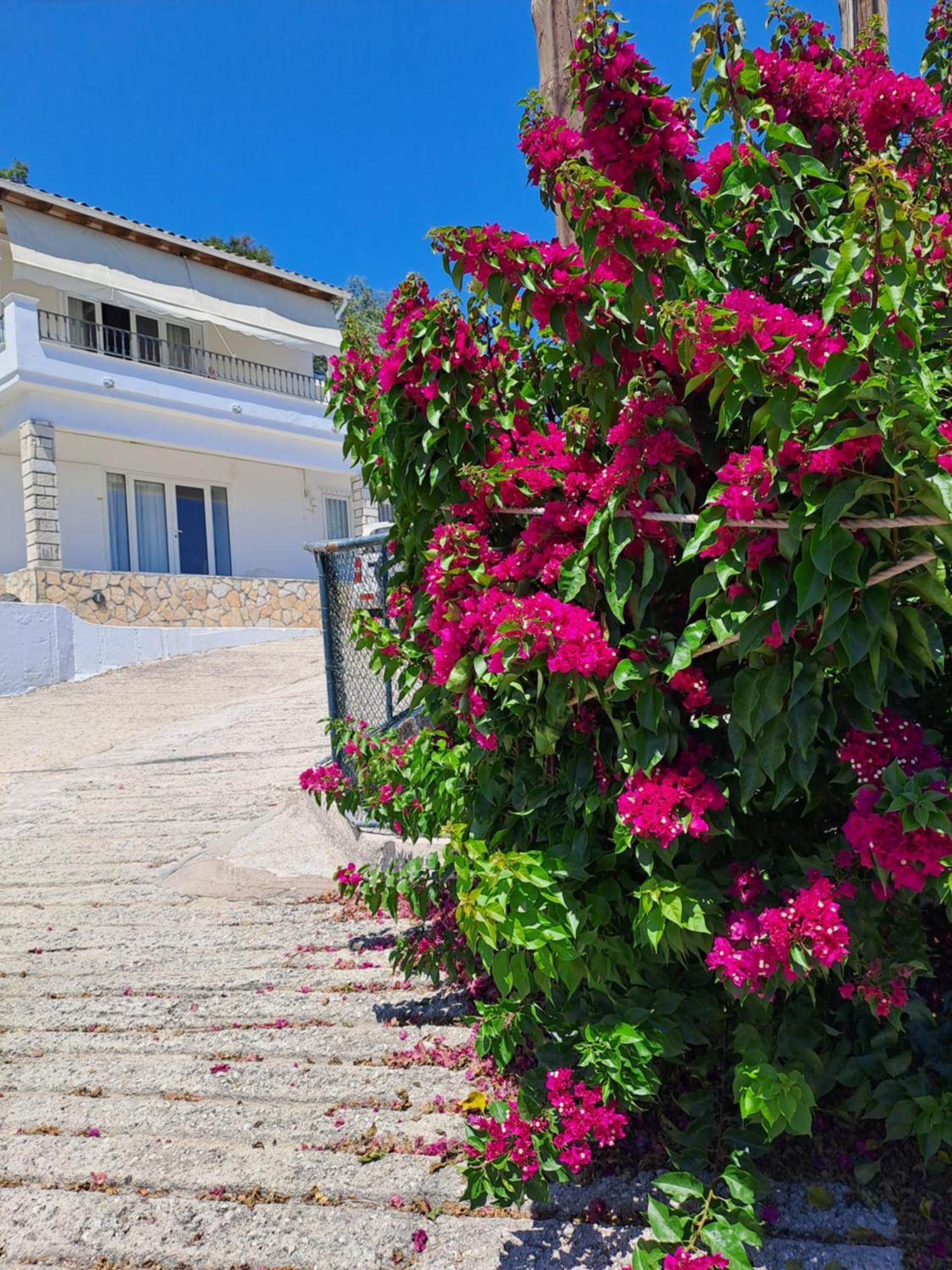 Appartement Bougainvillea Corfu  المظهر الخارجي الصورة